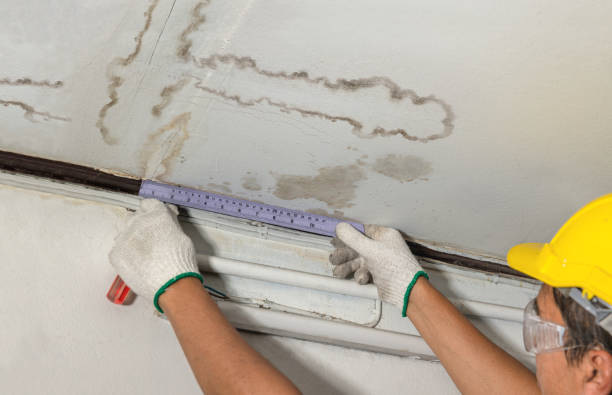 Reliable Mold Remediation contractor in West Warwick, RI by Local Water Damage Repair